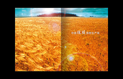 食品畫冊(cè)設(shè)計(jì)